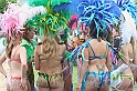 IMG_6181