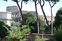 IMG_4746