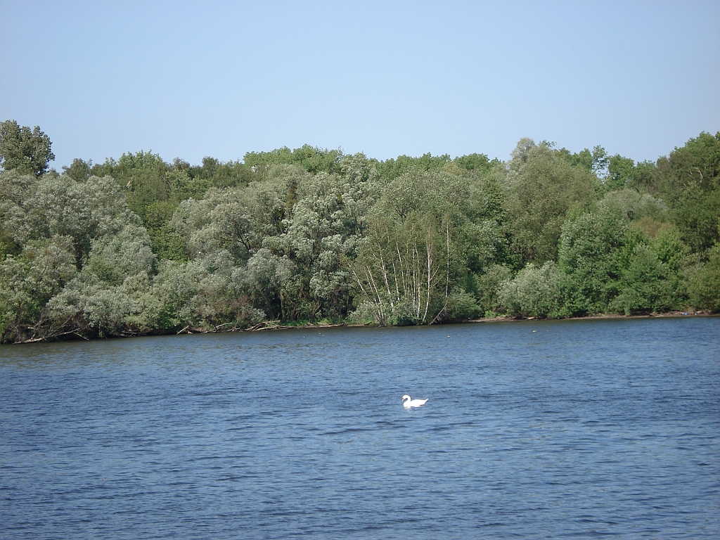 DSC00135